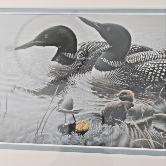 Framed & Matted Michael Dumas Art Print "Bright Water" Loons and Chicks 21 x 17 - Picture 6 of 13